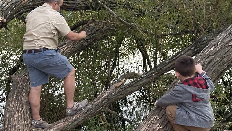 fishing from a tree
